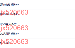 视频课程（网盘课程）