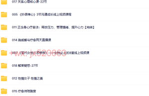 施威合集18套课程（网盘播放）