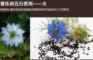 ppt[5、五行系列～火声纯露植物油]课程（在线播放）