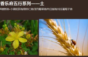 ppt[6、五行系列～土声纯露植物油]课程（网盘在线下载）