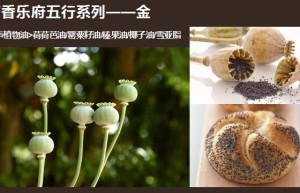 ppt[2、五行系列～金声纯露植物油]课程（网盘在线播放）