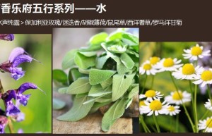 ppt[3、五行系列～水声纯露植物油]课程（观看）