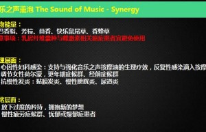 ppt[08、音乐之声]课程（网盘播放）