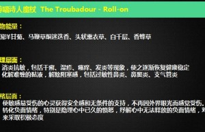 ppt[15、游唱诗人]课程（观看）