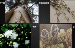 ppt[19、悲惨世界]课程（网盘播放）