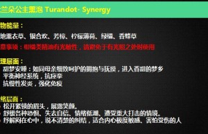 ppt[06、图兰朵公主]课程（网盘在线观看）