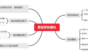 ppt[16、费加罗的婚礼]课程（在线观看）