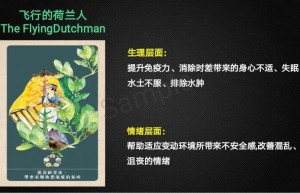 ppt[21、飞行的荷兰人]课程（在线播放）