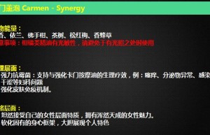 ppt[02、卡门]课程（在线播放）