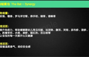 ppt[20、蝙蝠]课程（下载）