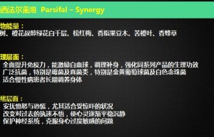 ppt[14、帕西法尔]课程（网盘播放）
