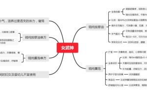 ppt[13、女武神]课程（百度网盘课程）