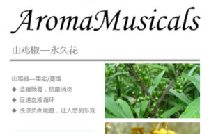 ppt[35、第三十五天～生命的律动—心血管循环系统②]课程（在线播放）