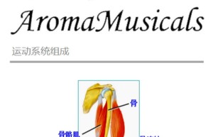 ppt[25、第二十五天～生命的呈现—运动系统①]课程（网盘在线下载）