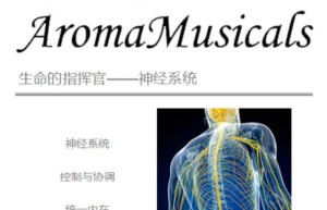 ppt[40、第四十天～生命的指挥官—神经系统]课程（播放）