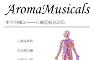 ppt[34、第三十四天～生命的律动—心血管循环系统①]课程（在线播放）