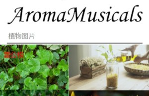 ppt[22、第二十二天～润养身心—植物油②]课程（网盘在线观看）