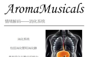 ppt[31、第三十一天～情绪解码—消化系统①]课程（网盘课程）