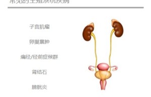 ppt[46、第四十六天～生命的延续—生殖泌尿系统①]课程（网盘下载）