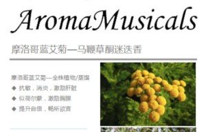 ppt[44、第四十四天～生命的开关—内分泌系统②]课程（网盘在线下载）