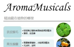 ppt[05、第五天～隐藏的香气——精油储存在植物哪里]课程（播放）