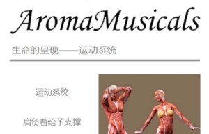 ppt[27、第二十七天～生命呈现—运动系统③]课程（网盘在线下载）