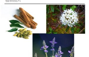 ppt[18、第十八天～神奇之水—纯露③]课程（网盘课程）