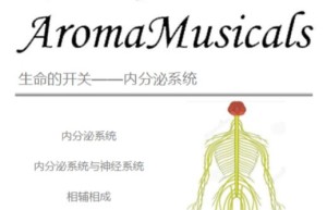 ppt[45、第四十五天～生命的开关—内分泌系统③]课程（观看）