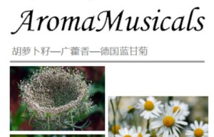 ppt[50、第五十天～身心的镜子—皮肤②]课程（百度网盘课程）