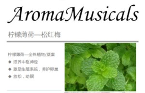 ppt[48、第四十八天～生命的延续—生殖泌尿系统③]课程（百度网盘课程）