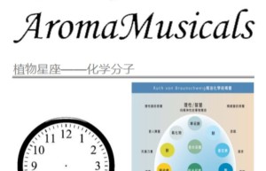 ppt[11、第十一天～植物的星座——化学分子①]课程（播放）