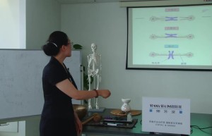 第十二章：细胞课程（在线播放）