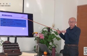 生理解剖（第二版）（总复习）课程（网盘在线观看）