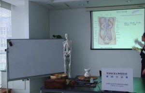 第七章：循环淋巴系统课程（网盘课程）