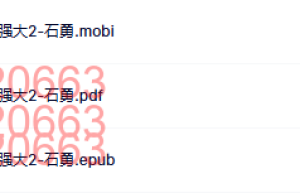 世界如此险恶，你要内心强大2-石勇（网盘下载）