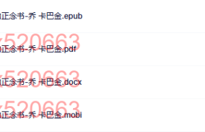 不分心：初学者的正念书-乔 卡巴金（网盘在线下载）