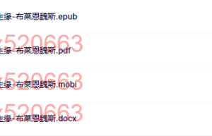 轮回 前世今生来生缘-布莱恩魏斯（在线阅读）