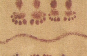 MORENA土著卡（在线阅读）