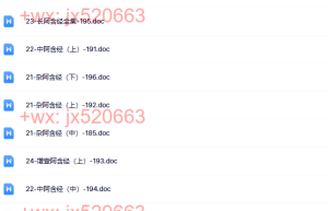 074四阿含经全集9本（网盘在线阅读）