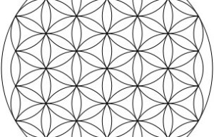 生命之花（在线下载）