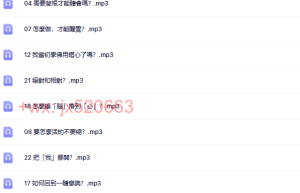十字路口4全部生命系列問答 (三)（在线下载）