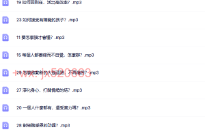 十字路口2全部生命系列問答 (一)（网盘在线下载）