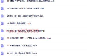 插对头网络下载音频（下载阅读）
