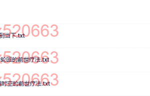 @布莱恩·魏斯（网盘阅读）