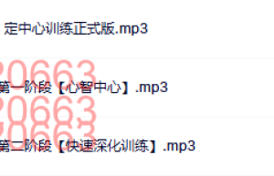 西瓦心灵术超感官动力冥想 音乐（网盘下载）