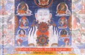 七轮冥想（网盘在线播放）