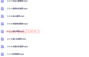 101. 七脉轮冥想（在线下载）