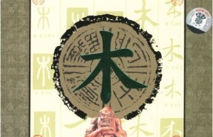 中国五行能量养生音乐—木（网盘在线下载）