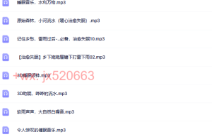 06大自然助眠音乐（网盘播放）