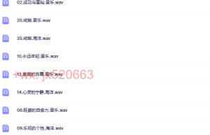全脑开发大师 wav版（网盘播放）